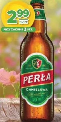 Piwo promocja w Stokrotka