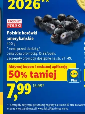 Polskie borówki amerykańskie promocja w Lidl
