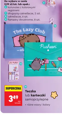 Teczka Pusheen promocja w Biedronka