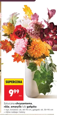 Sztuczny amarylis promocja w Biedronka