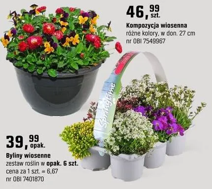 Kompozycja wiosenna różne kolory w don. 27cm promocja w OBI