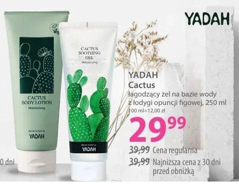 Łagodzący żel na bazie wody z lodów opuncji figowej Cactus promocja w Hebe