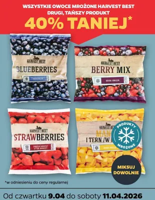 Borówki mrożone promocja w Netto