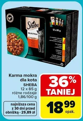 Karma mokra dla kota różne rodzaje promocja w Carrefour