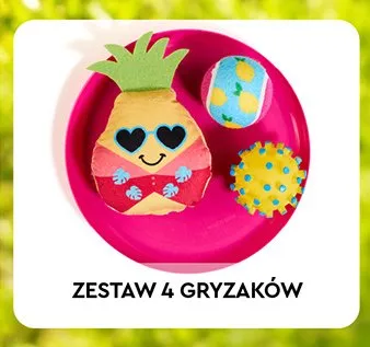 Zestaw 4 gryzaków dla pupila Activ Pet promocja w Biedronka
