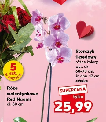 Róże walentynkowe Red Naomi promocja w Kaufland
