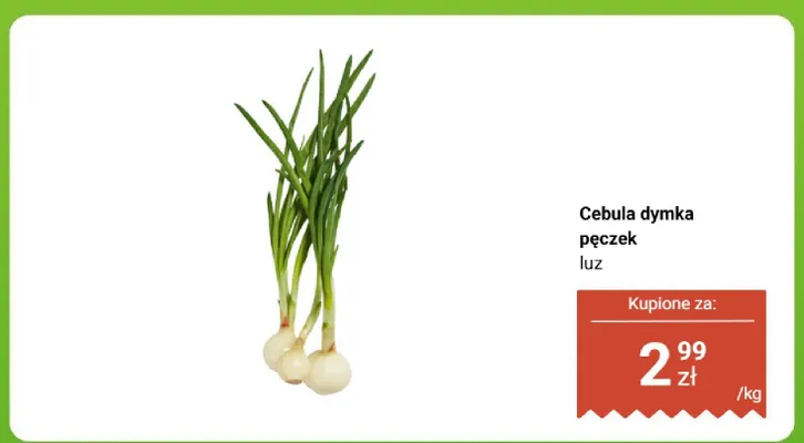 Cebula dymka pęczek luz promocja w Biedronka