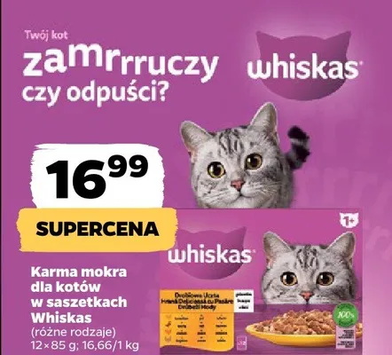 Karma mokra dla kotów w saszetkach promocja w Netto