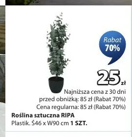 Roślina sztuczna RIPA promocja w Jysk
