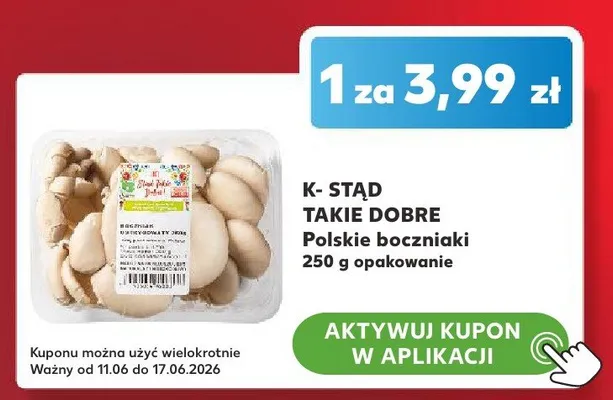 Boczniaki polskie K-Stąd Takie Dobre promocja w Kaufland