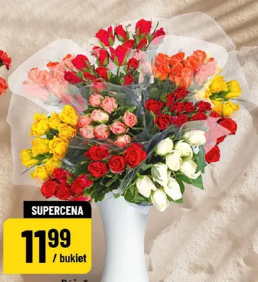 Róże promocja w POLOmarket
