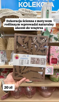 Dekoracja ścienna z motywem roślinnym Pepco Home 22x30x16cm promocja w Pepco