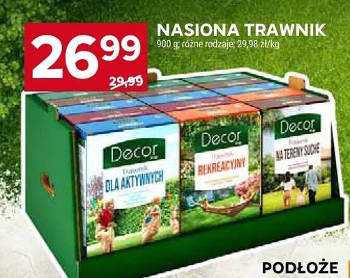 Nasiona trawnik promocja w Stokrotka