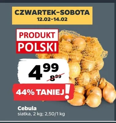 Cebula siatka promocja w Netto