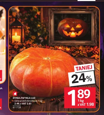 Dynia zwykła luz Selgros promocja w Selgros