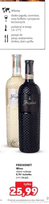 Wino białe Freixenet Pinot Grigio promocja w Kaufland