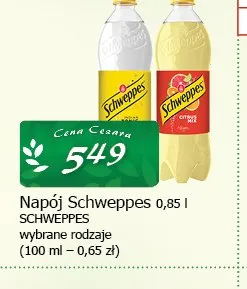 Napój Schweppes promocja w CEZAR Delikatesy