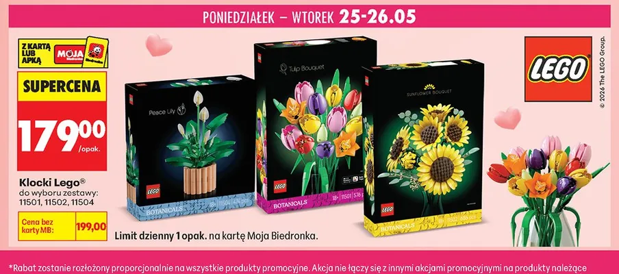 Klocki LEGO 11501 promocja w Biedronka