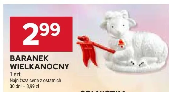 Solniczka promocja w Stokrotka
