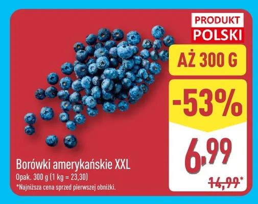Borówki amerykańskie XXL promocja w Aldi