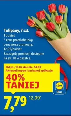 Tulipany 7 sztuk promocja w Lidl