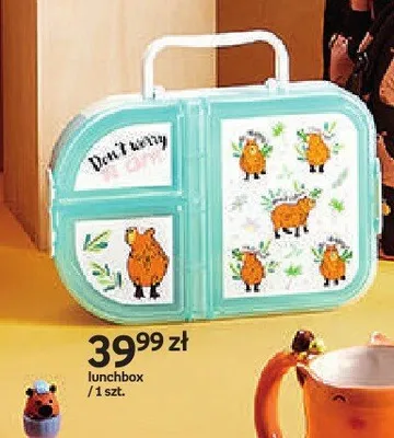 Lunchbox Paperdot Cappy Classes promocja w Empik
