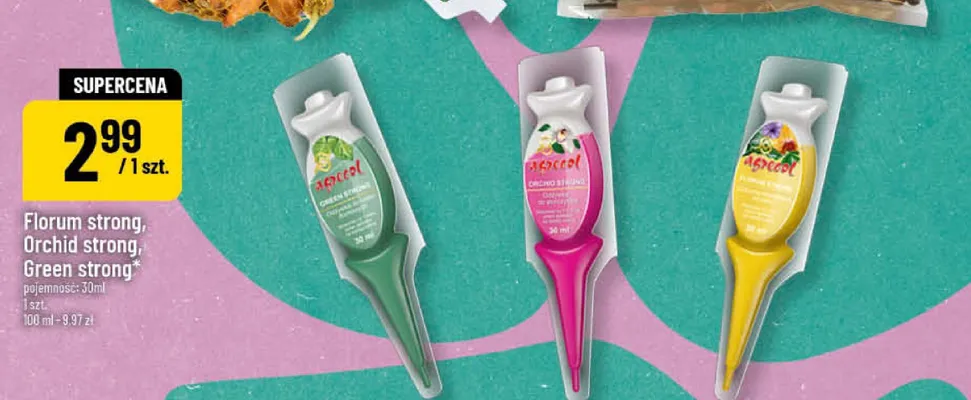 Orchid strong promocja w POLOmarket