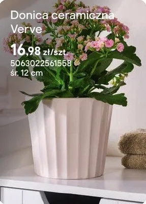 Donica ceramiczna Verve śr. 12 cm promocja w Castorama