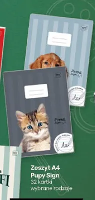 Zeszyt A4 Pupy Sign 32 kartki promocja w Delikatesy Centrum