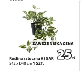 Roślina sztuczna Asgar promocja w Jysk