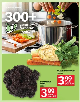 Włoszczyzna pęczek promocja w Selgros