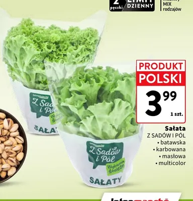 Sałata multicolor Z Sadów i Pól promocja w Intermarche