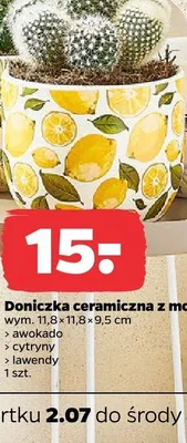 Doniczka ceramiczna z motywem cytryny promocja w Netto