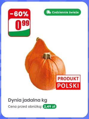 Dynia jadalna promocja w Dino