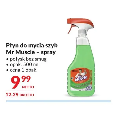 Płyn do mycia szyb Mr Muscle spray promocja w Makro