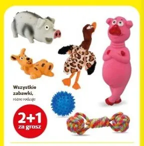 Zabawka dla psa sznur promocja w Super Zoo