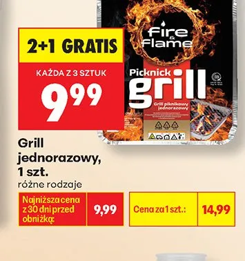 Grill jednorazowy Picknick Fire & Flame promocja w Biedronka