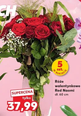 Róże walentynkowe Red Naomi 5 szt. promocja w Kaufland