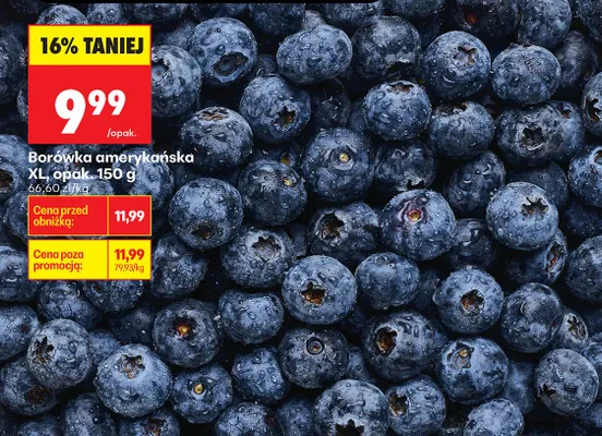 Borówka amerykańska shaker promocja w Biedronka