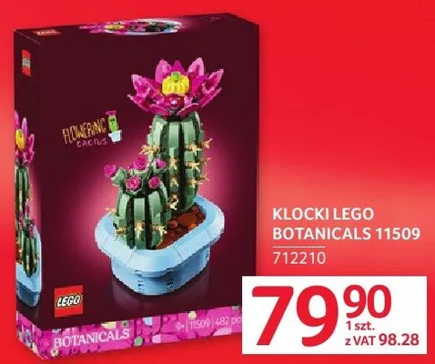 Klocki LEGO Botanicals 11509 promocja w Selgros