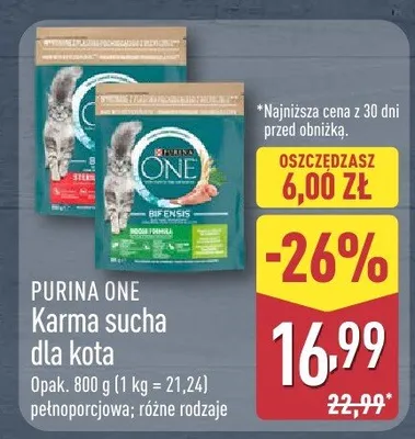 Karma sucha dla kota promocja w Aldi