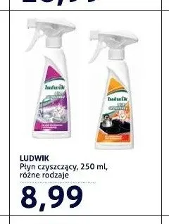 Płyn czyszczący Ludwik promocja w Blue Stop