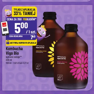 Kombucha Vigo Bio Yerba Mate promocja w POLOmarket