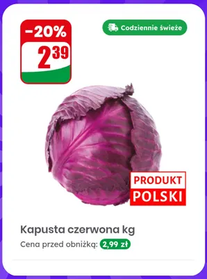 Kapusta czerwona promocja w Dino