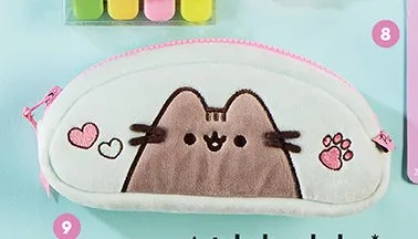 Piórnik-saszetka jednokomorowy bez wyposażenia Pusheen promocja w Biedronka
