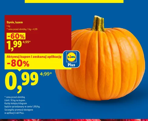 Dynie luzem promocja w Lidl
