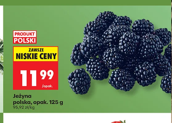 Jeżyna polska promocja w Biedronka