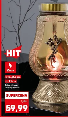 Znicz szklany solarny Pnącze promocja w Kaufland
