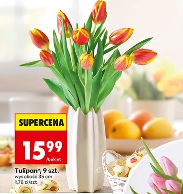 Tulipan promocja w Biedronka