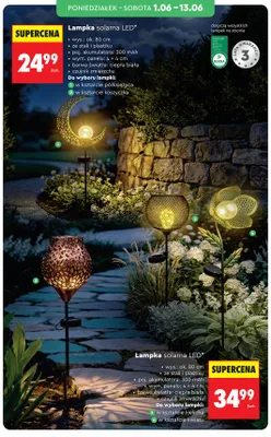 Lampka solarna LED promocja w Biedronka